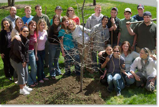 group of students who just planted a tree